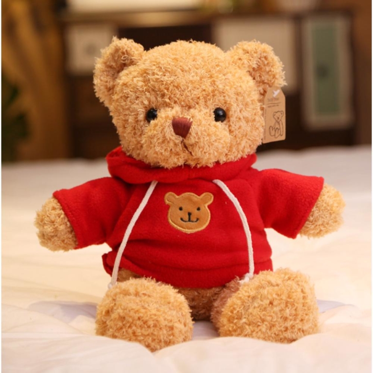 customised teddy