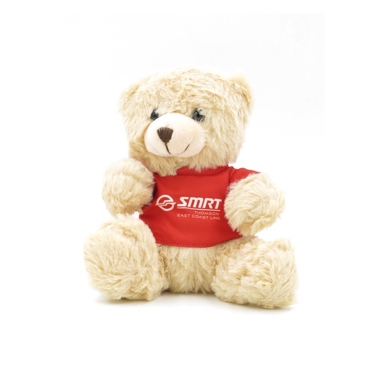 customised teddy bear